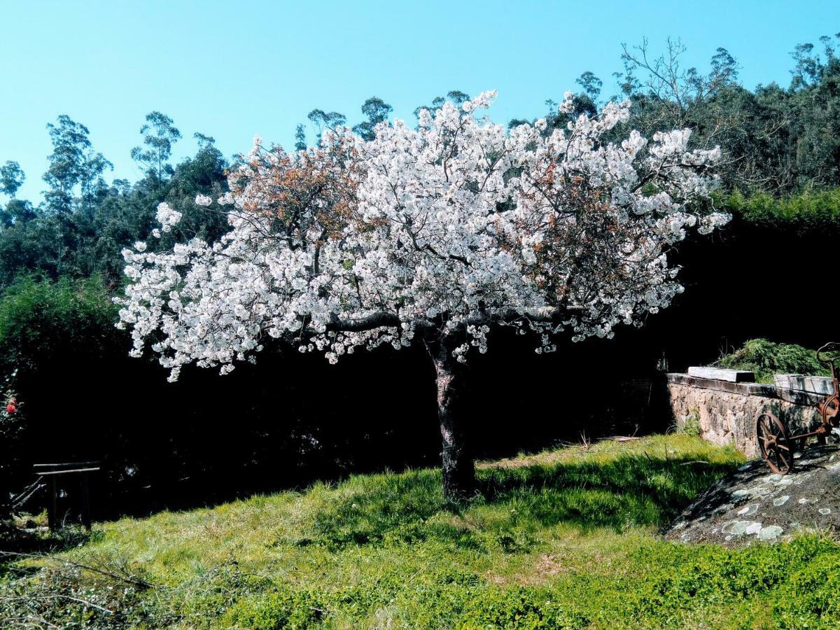 Casa Os Curras Villa Culleredo Kültér fotó